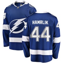Men's Fanatics Branded Tampa Bay Lightning Roman Hamrlik Blue Home Jersey - Breakaway